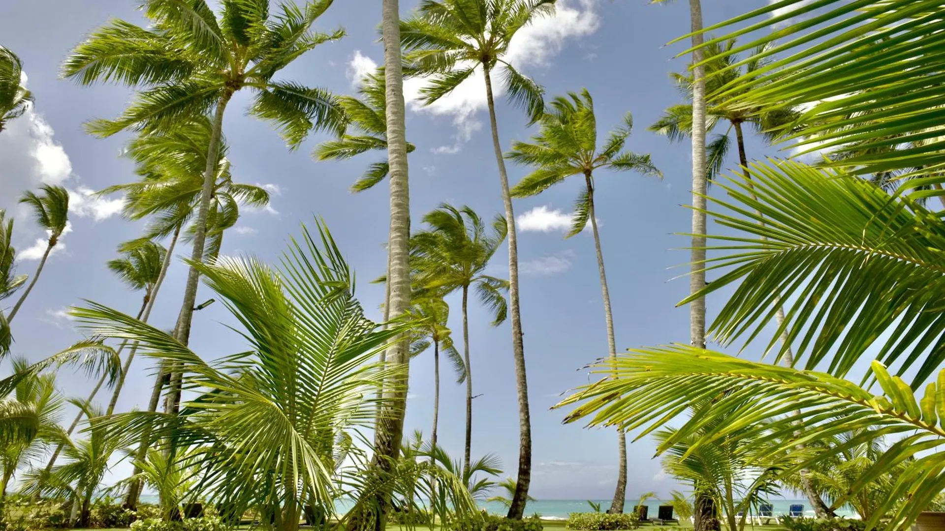 Villas Maranata Complex 5 Villas 3Brd Frontbeach Las Terrenas
